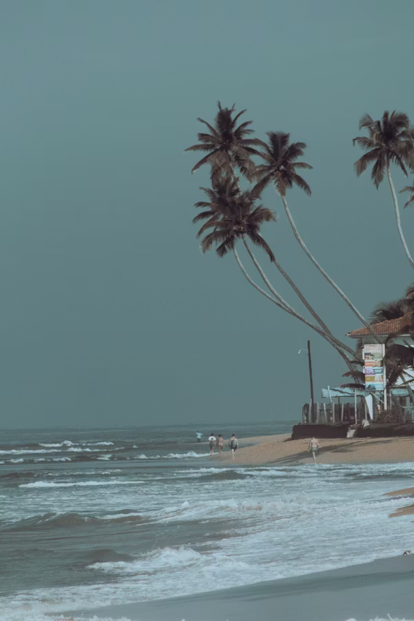 Galle One Day Tour