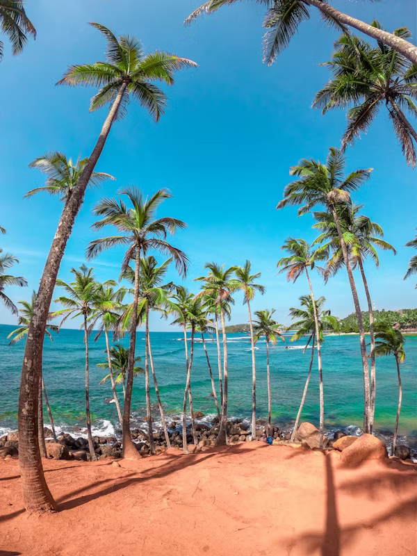 Mirissa One Day Tour