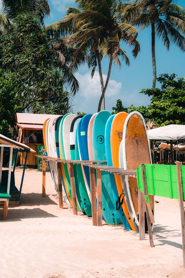 Mirissa One Day Tour