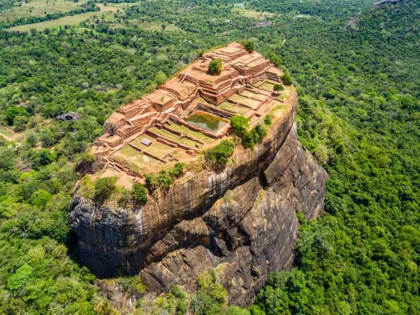 Legacy of the Lion Kings